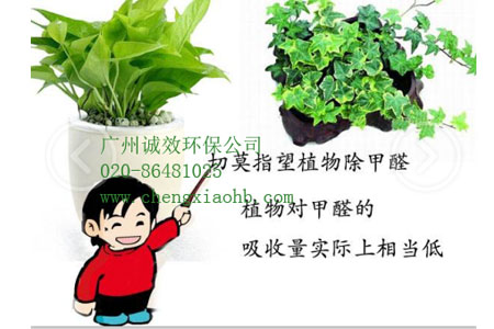 番禺去甲醛公司