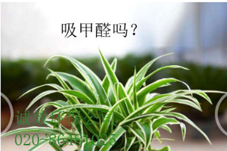 ��خ����ȩ