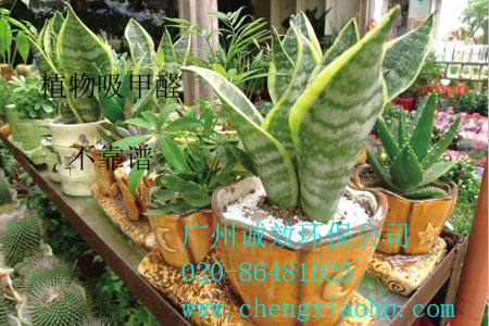 ����ȩ��˾