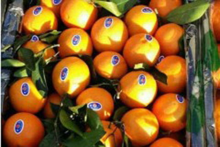 廣州甲醛檢測公司