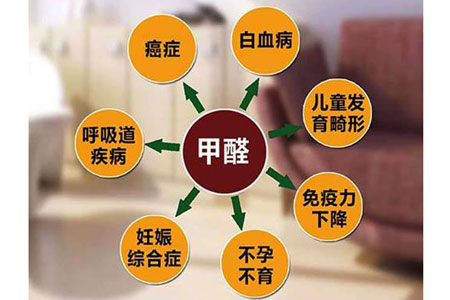 廣州除甲醛公司