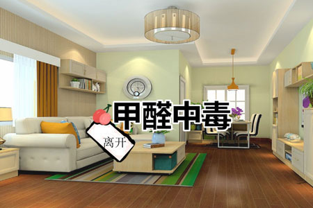 廣州除甲醛公司