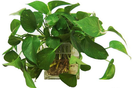 南沙除甲醛公司