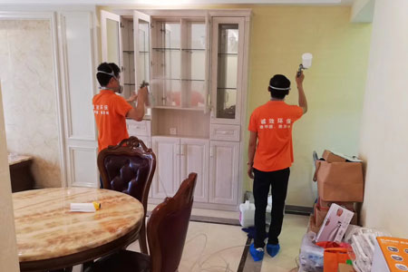 江門除甲醛公司