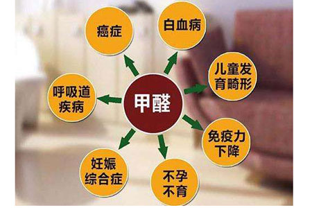 廣州除甲醛公司