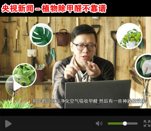 ��ҕ����ֲ�����ȩ�����V