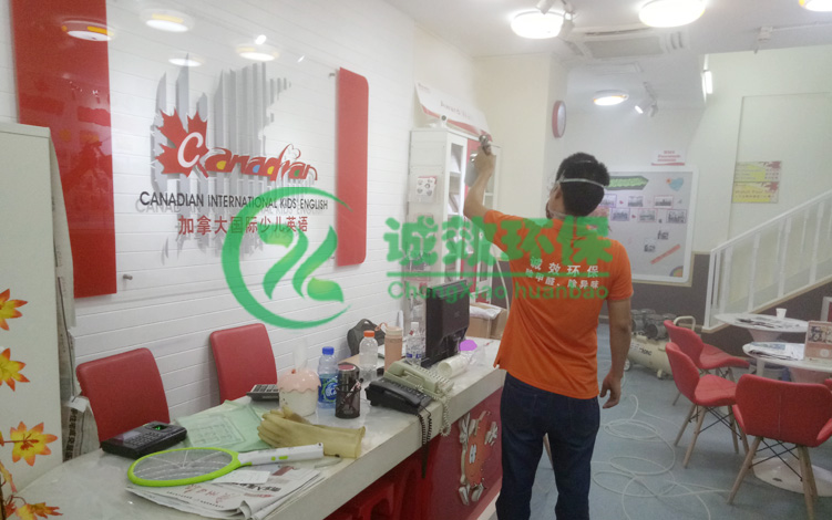 ���ô��ك�Ӣ�Z���V�ݳ���ȩ