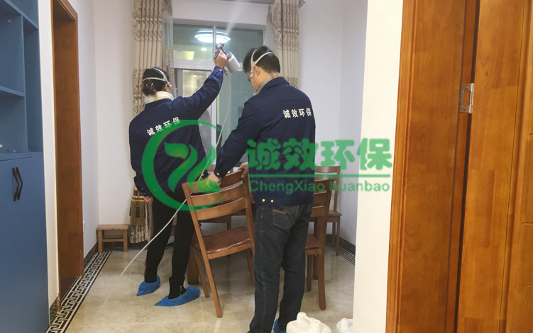 �����Sʯ���@�����Ƴ���ȩ