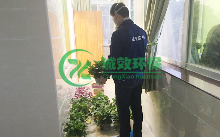 �𺣰����@���V�ݳ���ȩ