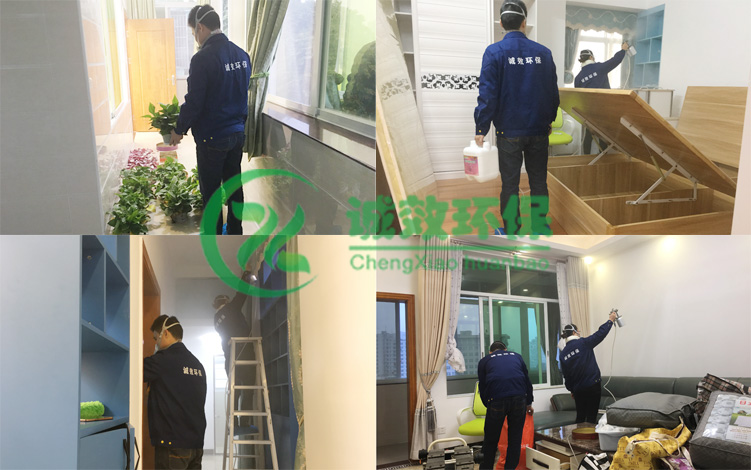 �V�ݳ���ȩ